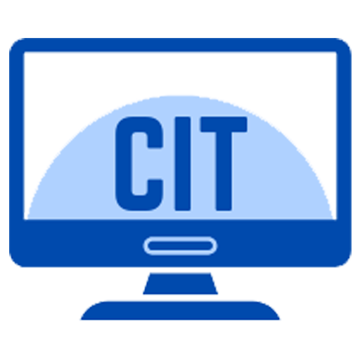 Certificate In Information Technology (C.I.T)